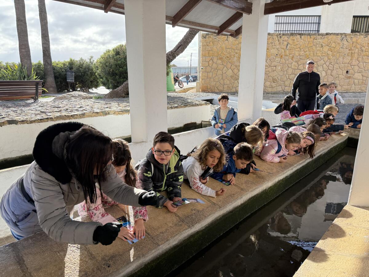 Finalizan las “visitas escolares” al casco antiguo de la concejalía de Educación 