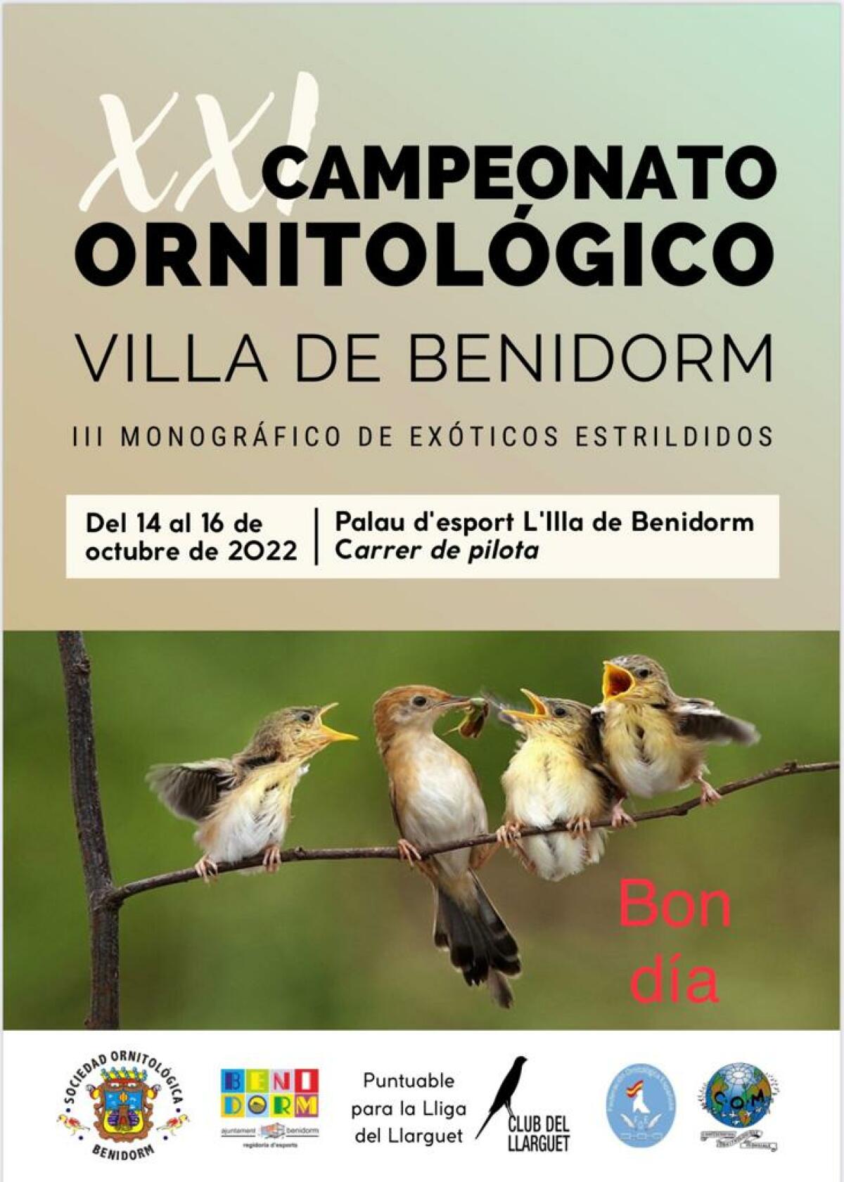 XXI CONCURSO ORNITOLÓGICO VILLA DE BENIDORM 2022