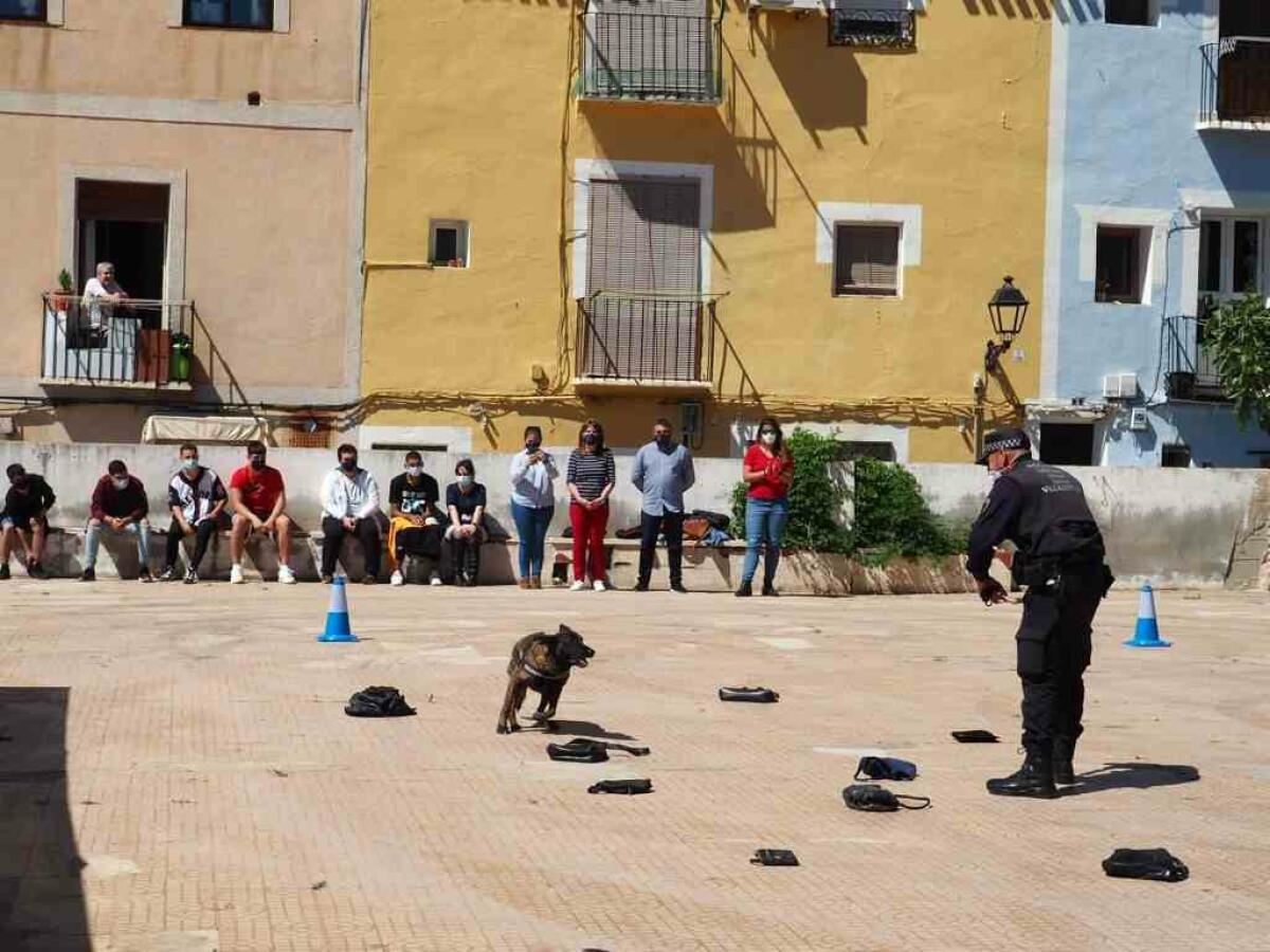 Policía Local deleita con una exhibición canina y de vigilancia aérea al alumnado del Programa  JOOP en la Vila Joiosa