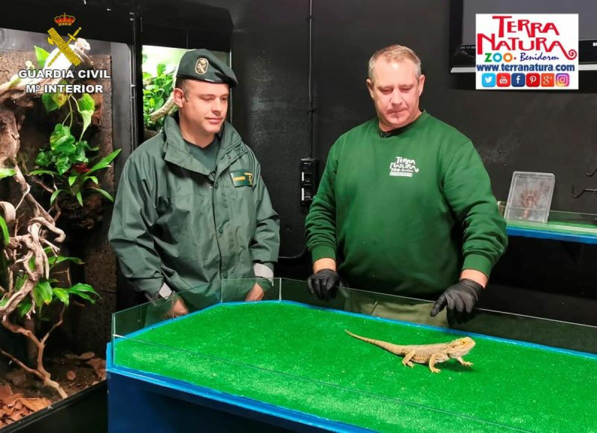 La Guardia Civil y Terra Natura se unen para concienciar sobre el uso de animales como regalo de Navidad 