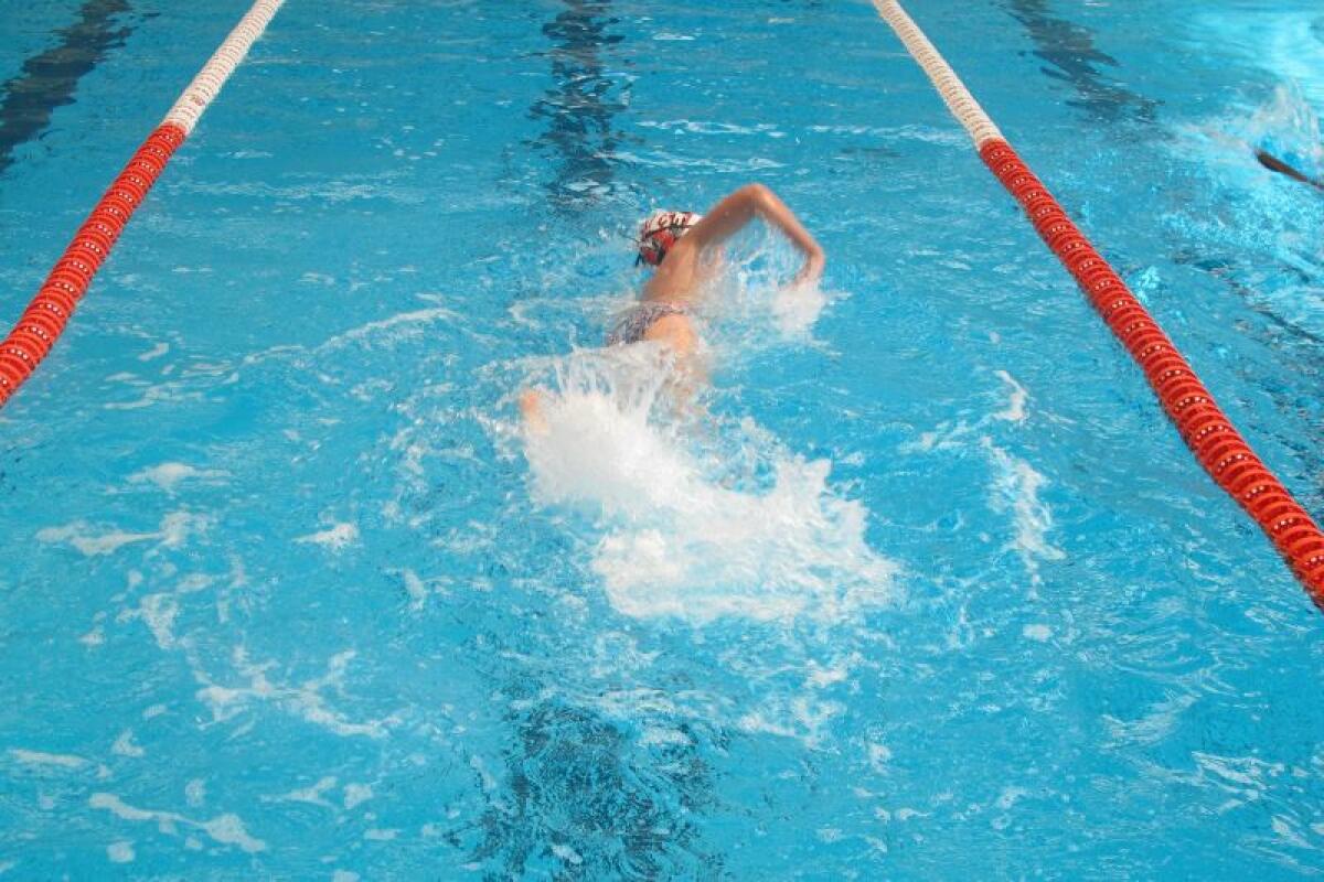 La Diputación respalda con 200.000 euros la participación de los deportistas alicantinos en competiciones internacionales