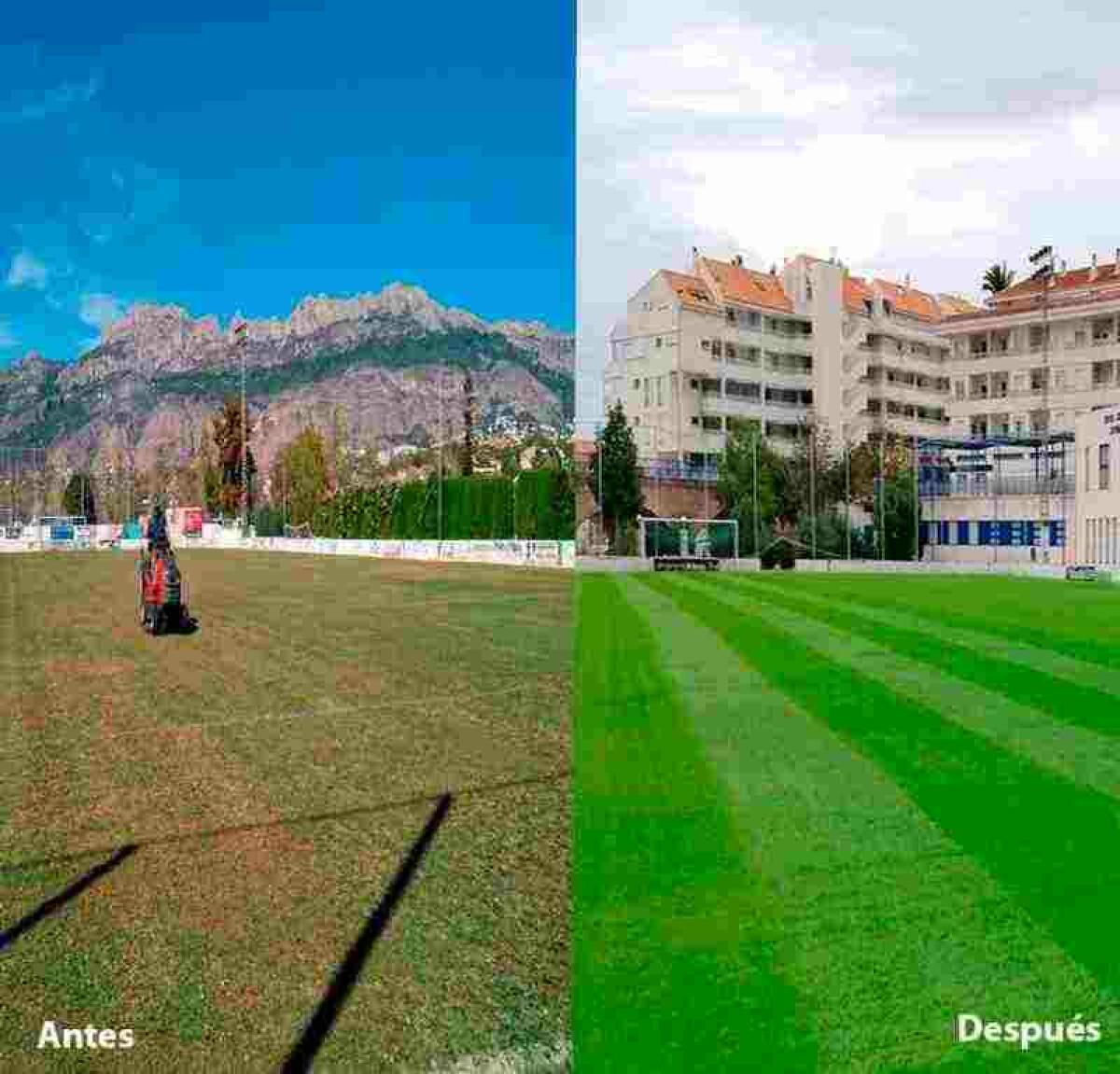 Altea &middot; Deportes informa de las tareas de resiembra del campo de f&uacute;tbol