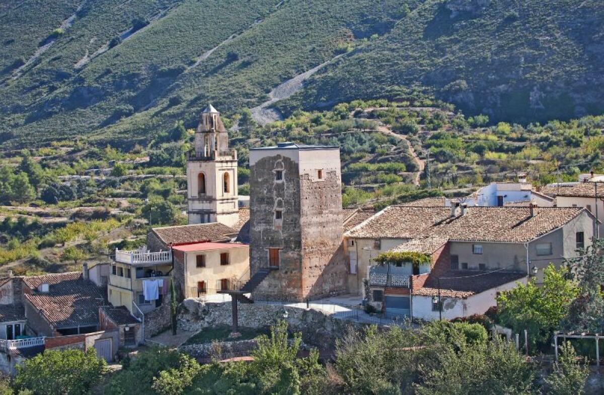 La Torre de Almudaina celebra el XIII aniversario de su apertura al público con una jornada de puertas abiertas