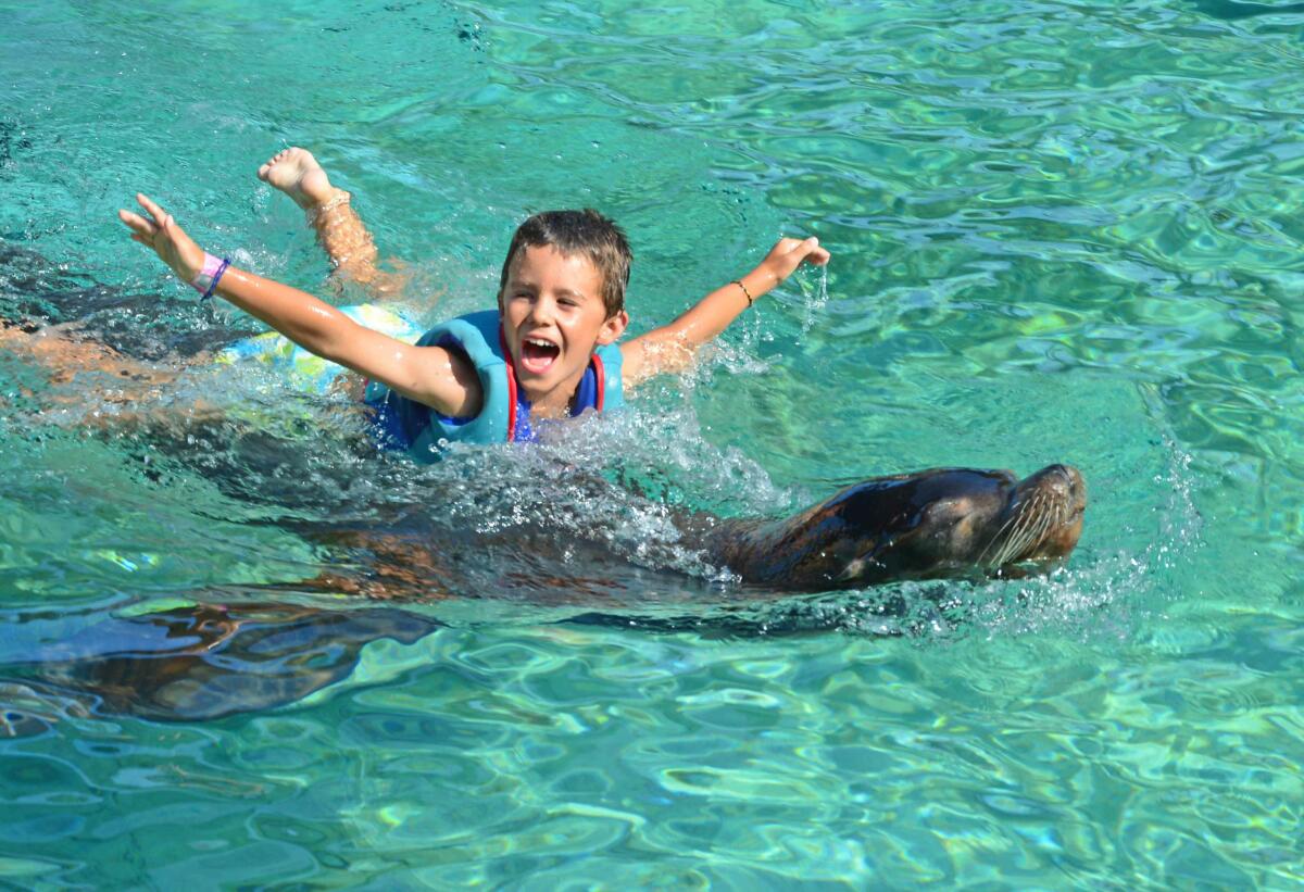 Terra Natura Benidorm lanza una nueva edición de su Escuela de Verano y un campus dirigido a adolescentes