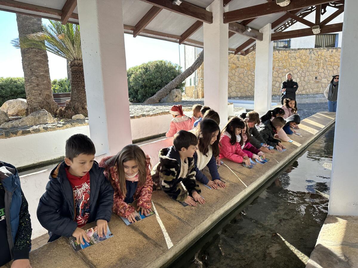 Los escolares redescubren La Nucía y su historia con una visita al casco antiguo 