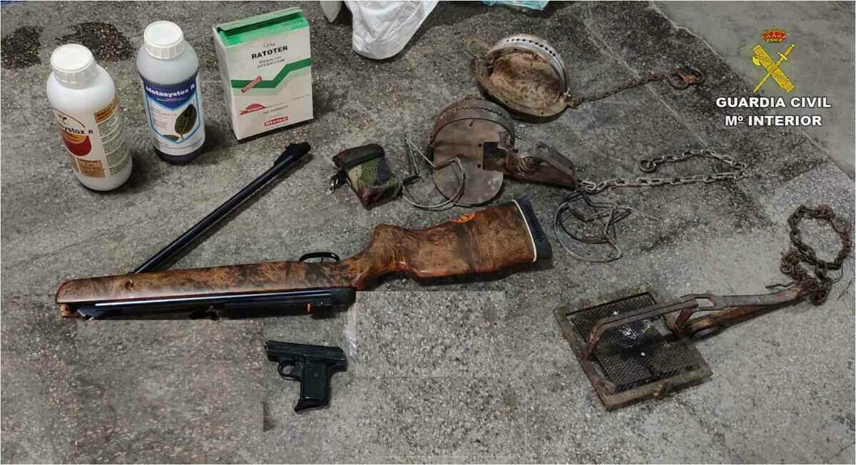 La Guardia Civil investiga en Alcoy a un hombre por un presunto delito contra la flora, fauna y animales domésticos