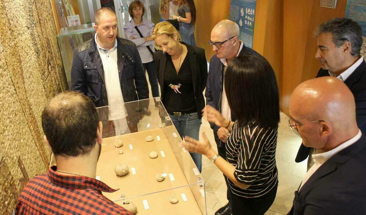 La Biblioteca Municipal de Benidorm acoge una exposici&oacute;n con una selecci&oacute;n de f&oacute;siles del Patrimonio Paleontol&oacute;gico