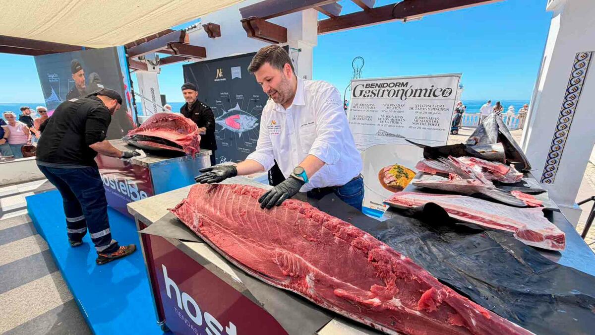 Benidorm presenta la VI edici&oacute;n de las &lsquo;Jornadas del At&uacute;n&rsquo; con el ronqueo de un ejemplar de 280 kilos 