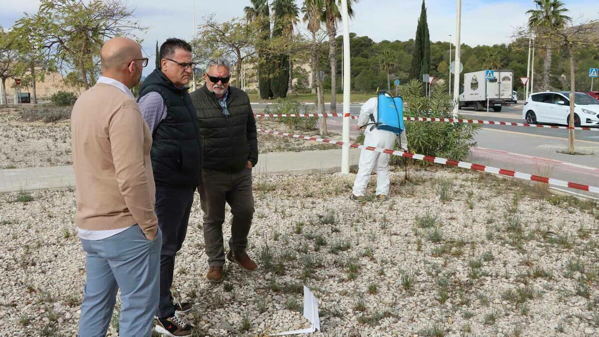 Benidorm prueba un novedoso sistema natural para combatir las malas hierbas en parques, jardines y vías públicas 