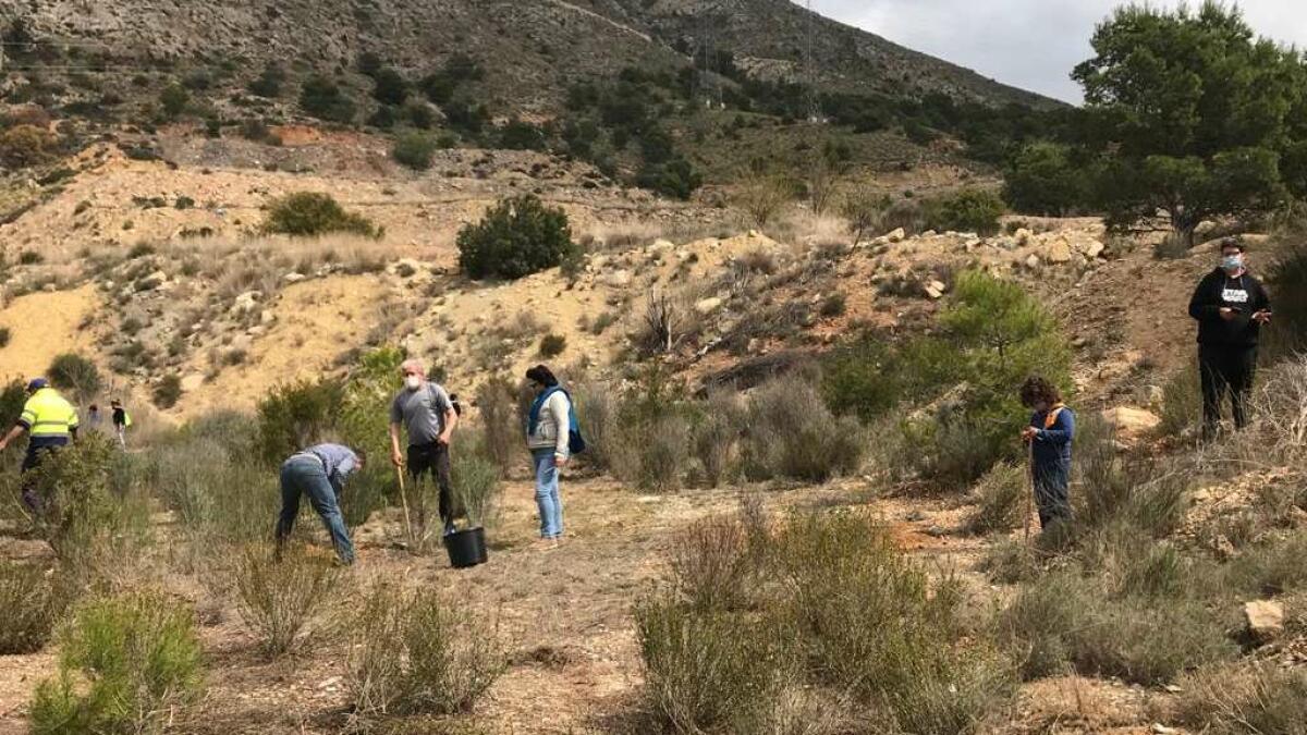 El Ayuntamiento de la Vila celebra el Día del Árbol plantando 400 ejemplares en la partida La  Robella