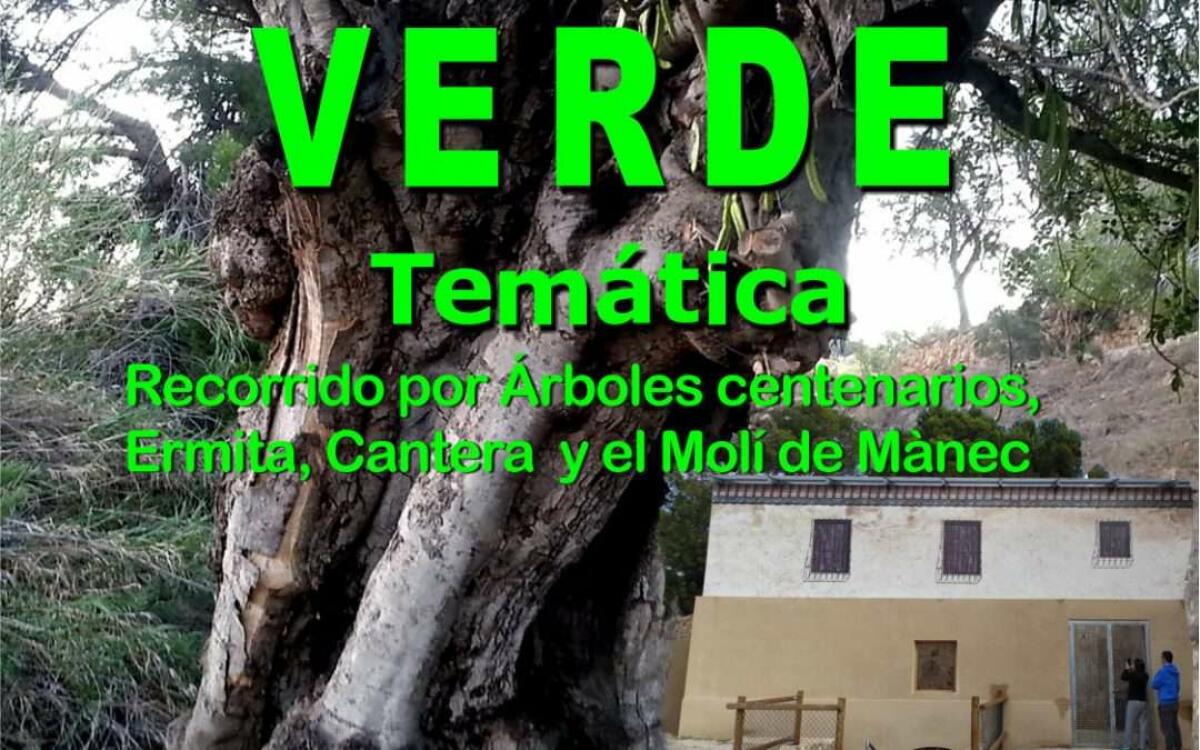 El próximo 22 de junio se celebra la tradicional ‘Caminata Verde’ entre árboles singulares de l’Alfàs