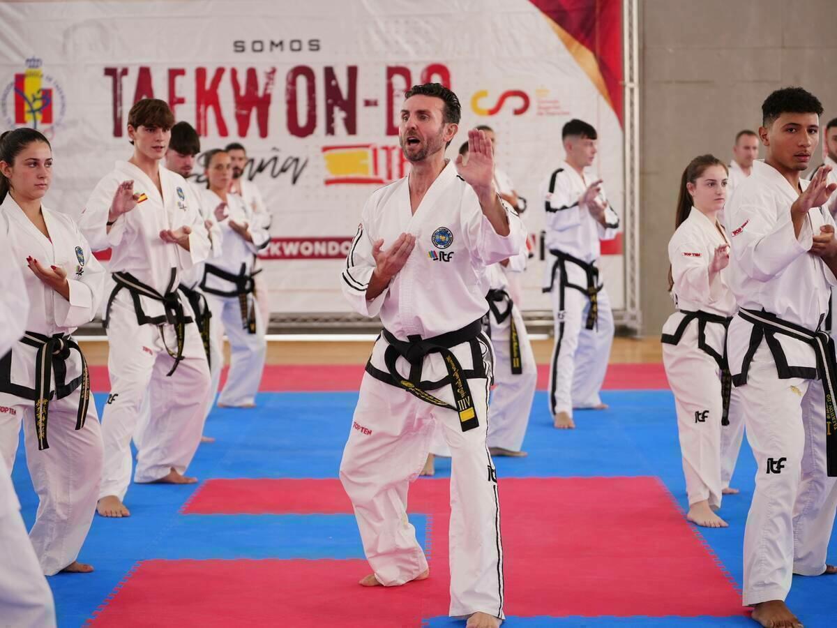 El XIII Congreso Nacional de Taekwondo reuni&oacute; en La Nuc&iacute;a a 180 deportistas