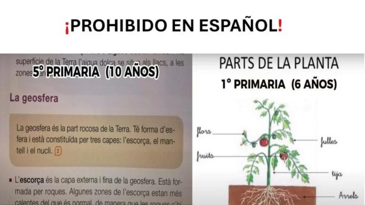 PP y VOX de la Comunidad Valenciana, ¡queremos que también se imparta Conocimiento del Medio en lengua materna! ¡Miren cuántas cosas dejarían de aprender los niños si la ley se aplica tal y como pretenden!