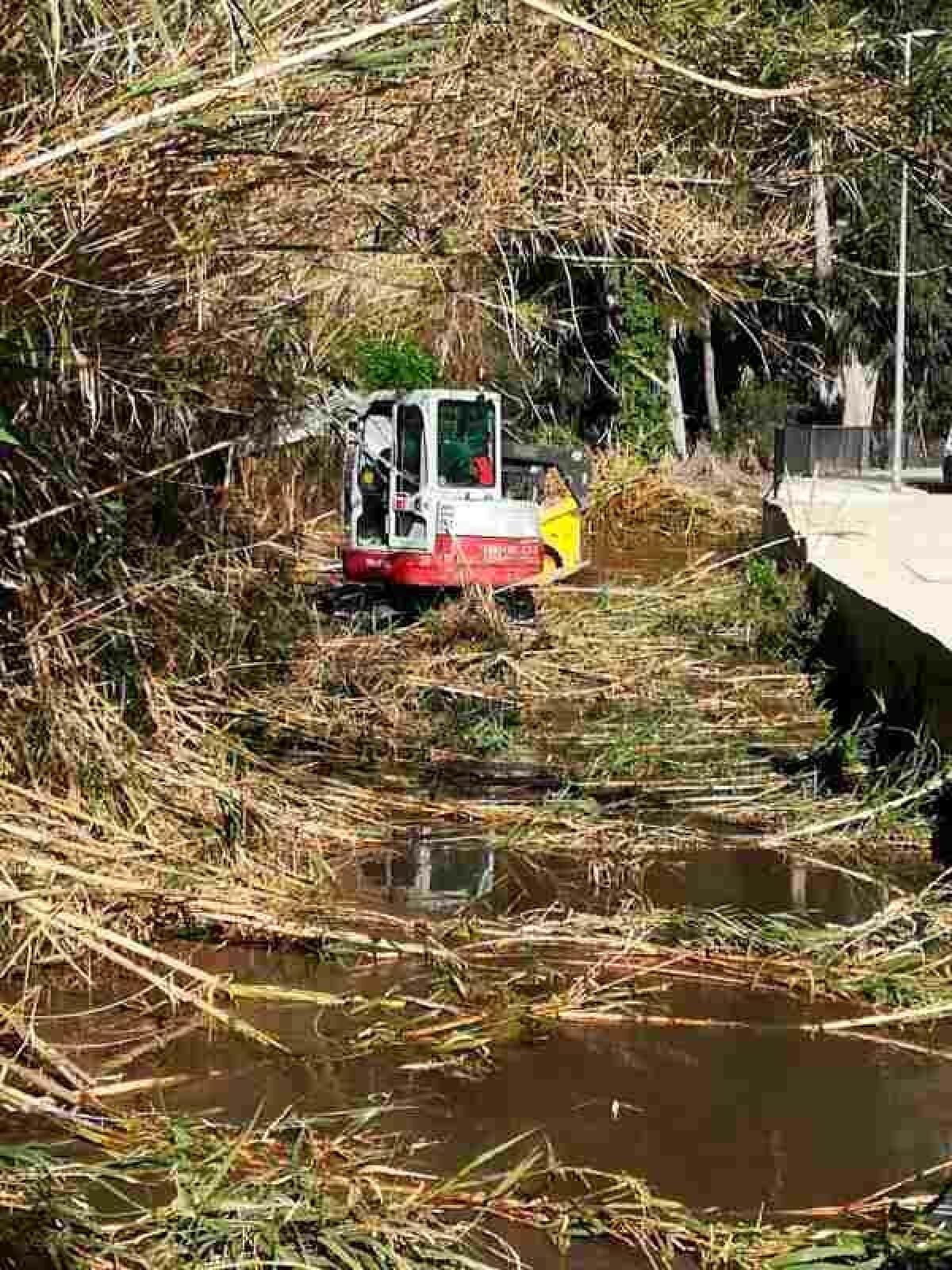 Altea &middot; Concluye la limpieza del Barranc dels Arcs