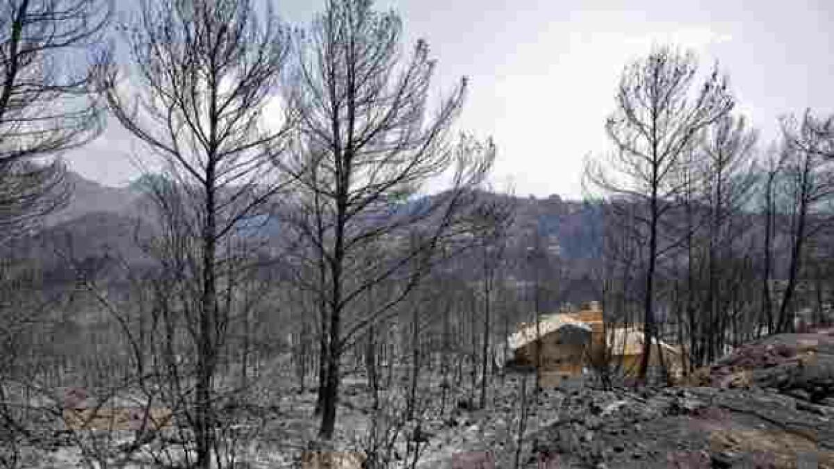 La Generalitat dar&aacute; ayudas a los afectados por el incendio de Gandia sin limitaciones por su renta