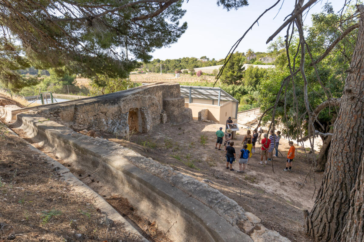 Patrimonio inicia 2025 con una nueva visita guiada gratuita al Molí de Mànec este domingo