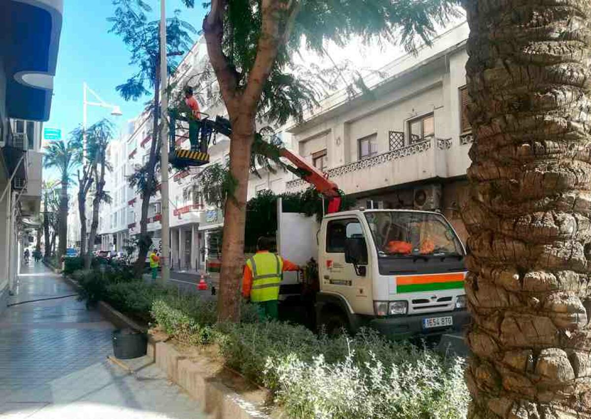 El Ayuntamiento pone en marcha el Plan de Ocupaci&oacute;n Municipal con un total de 40 plazas.