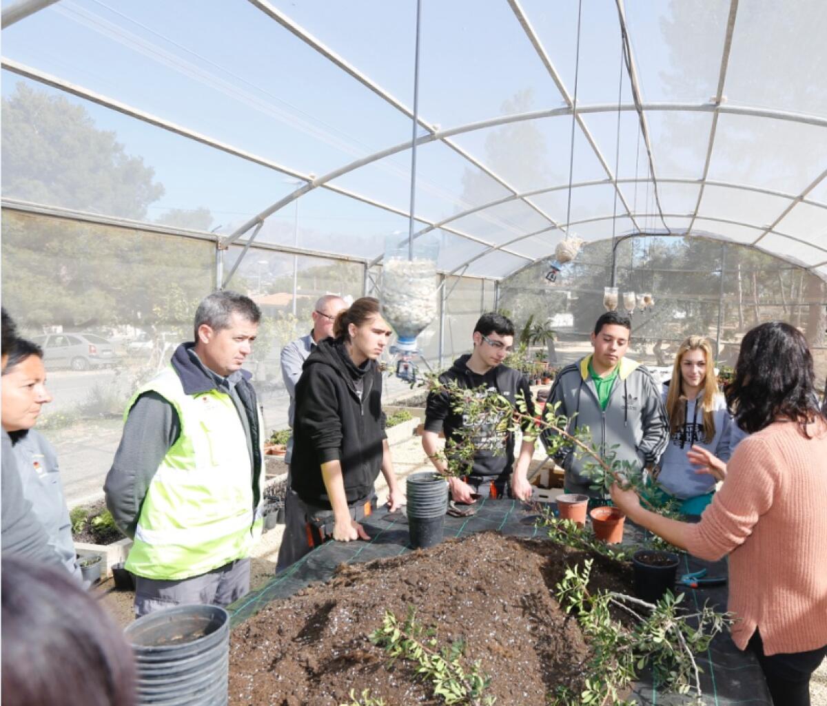 L&rsquo;Alf&agrave;s trabaja en la conservaci&oacute;n y recuperaci&oacute;n de flora aut&oacute;ctona en peligro de extinci&oacute;n