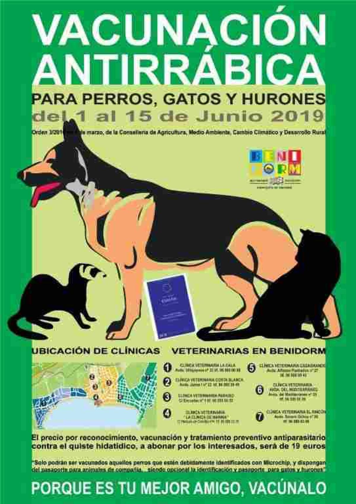   Benidorm // Sanidad pone en marcha la ‘Campaña de Vacinación Antirrábica 2019’