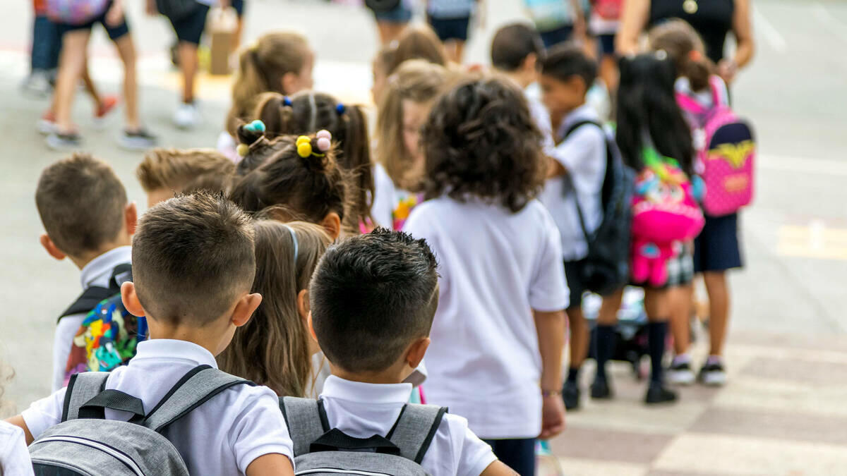 Las ayudas municipales para la compra de material escolar llegan a más de 1.100 familias de Benidorm