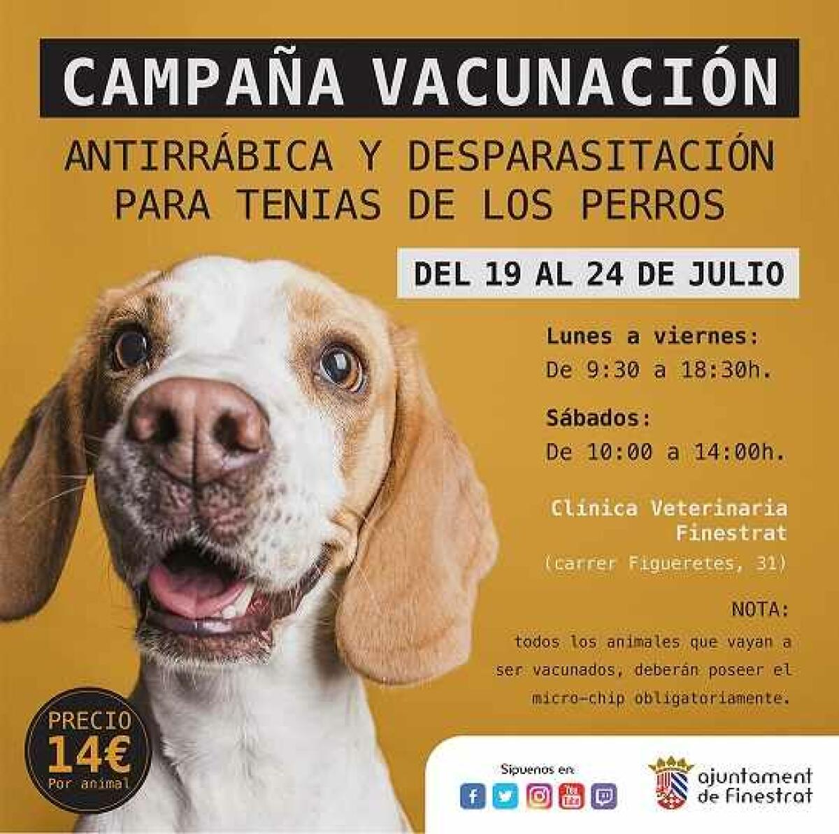 DEL 19 AL 24 DE JULIO SE CELEBRA EN FINESTRAT LA CAMPAÑA ANUAL DE VACUNACIÓN ANTIRRÁBICA