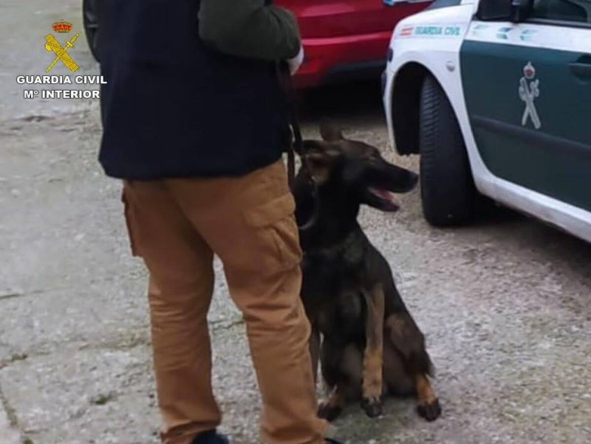 La Guardia Civil investiga a los responsables de intentar introducir hachís en dos Centros Penitenciarios de la provincia de Alicante