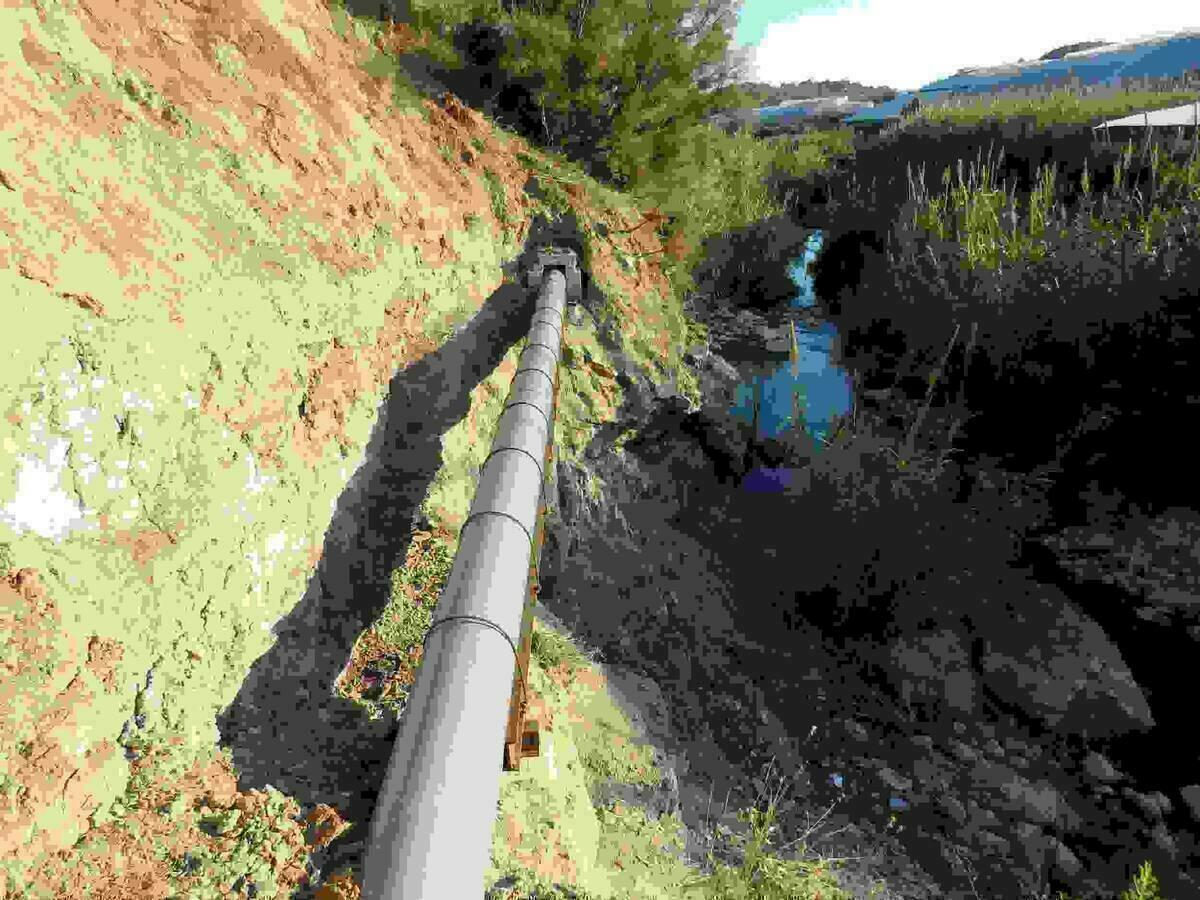 Callosa d&rsquo;en Sarri&agrave; reclama a la CHJ medidas de protecci&oacute;n ante las riadas y la eliminaci&oacute;n de especies vegetales invasivas en el Algar