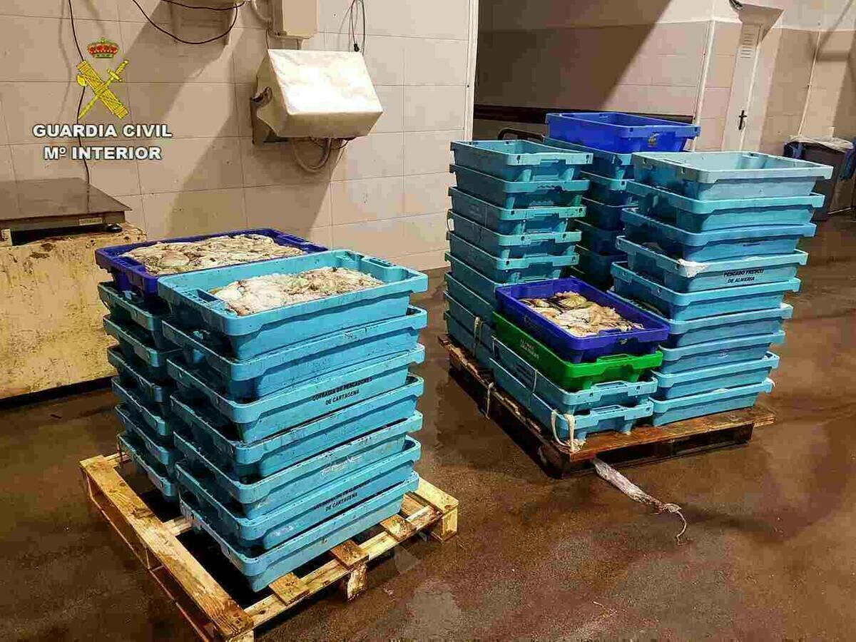La Guardia Civil incauta m&aacute;s de 316 kilos de pescado inmaduro en Altea