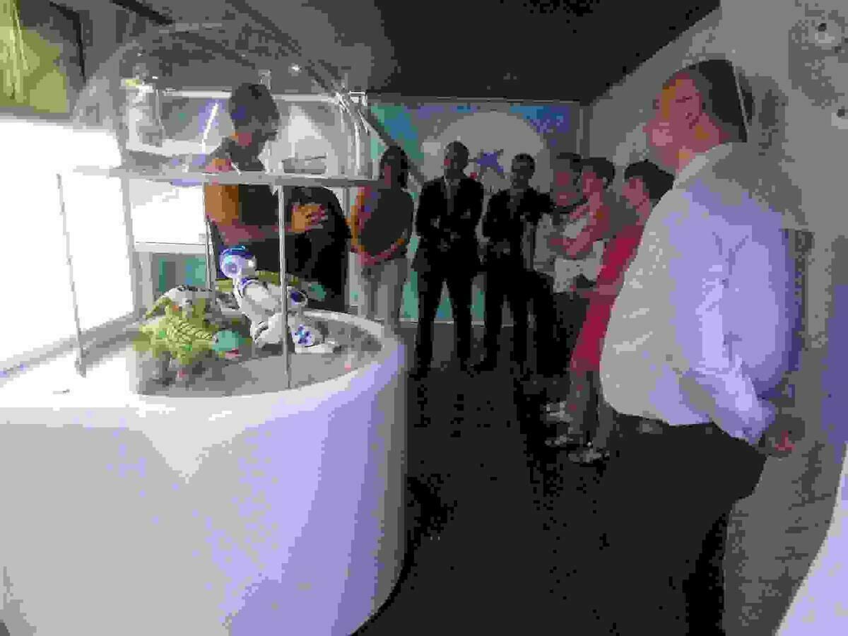 La Obra Social &ldquo;La Caixa&rdquo; y el Ayuntamiento de la Vila Joiosa presentan la muestra Tecnorrevoluci&oacute;n