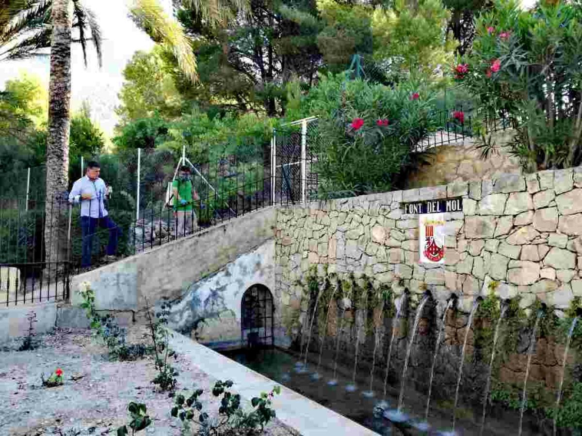 Finestrat activa un a&ntilde;o m&aacute;s el plan de acci&oacute;n contra el mosquito tigre