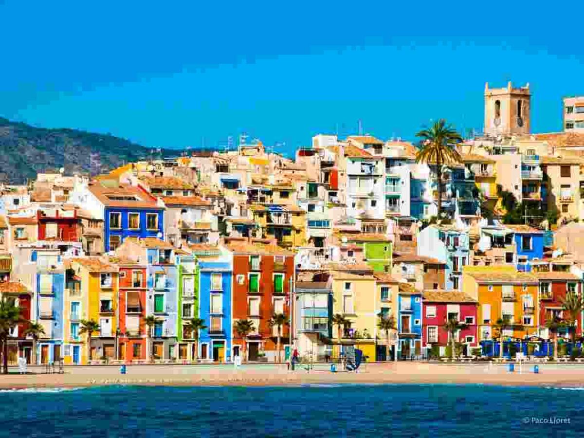 La Vila &middot; La concejal&iacute;a de Juventud organiza &lsquo;Fauna y Estrellas&rsquo;,  actividades nocturnas en la naturaleza