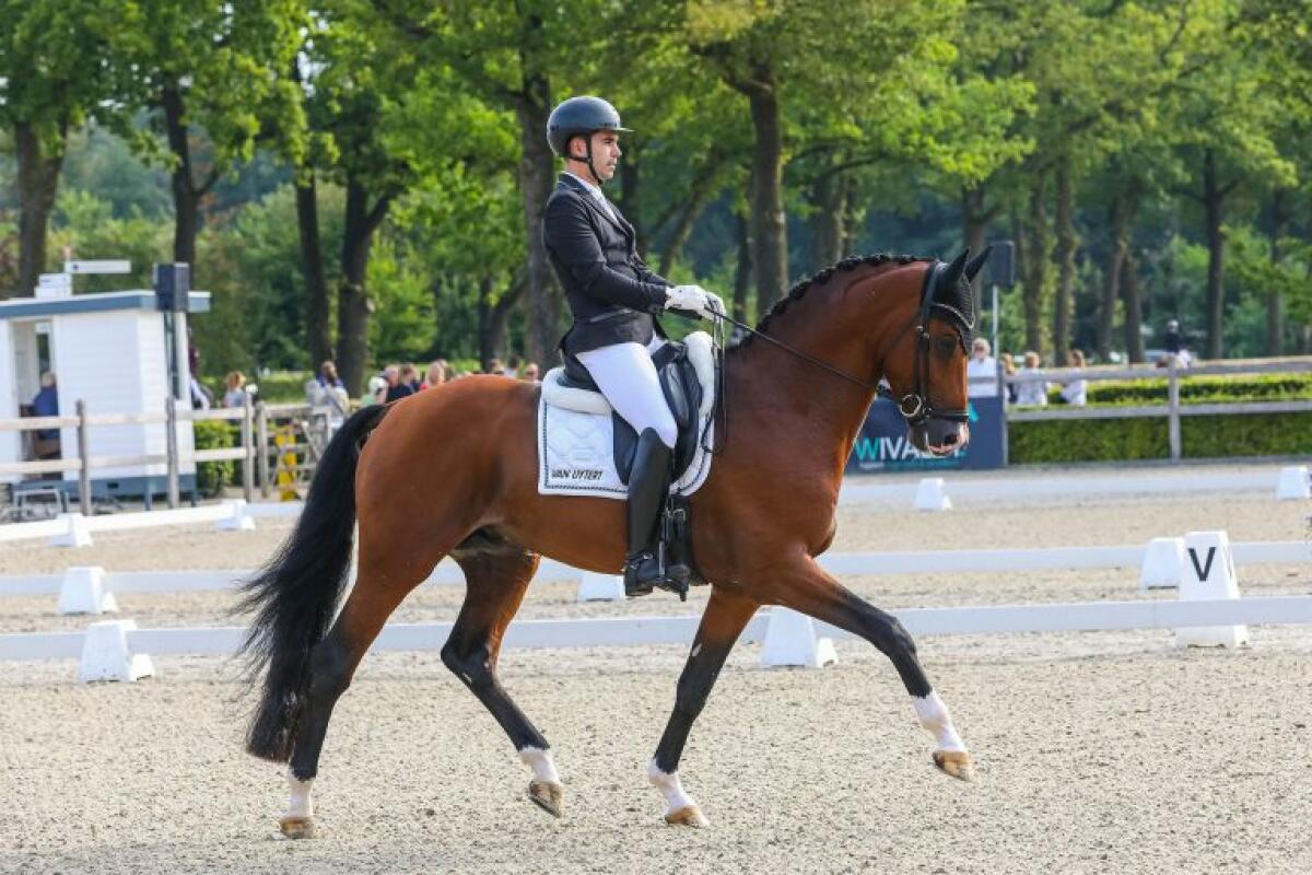 Álvaro Rodríguez se proclama campeón de Holanda (KNHS) con Patheon  en 4 años