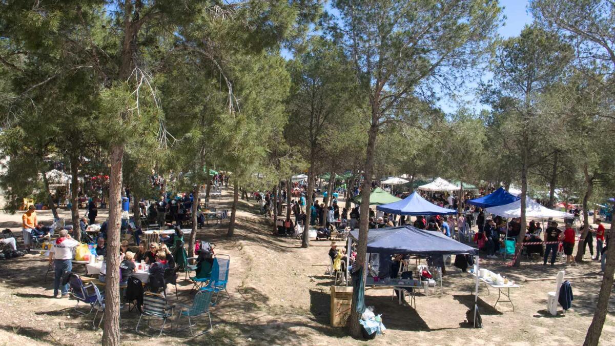 El Parc de la S&eacute;quia Mare congrega a las pe&ntilde;as de Benidorm para disfrutar del D&iacute;a de la Mona