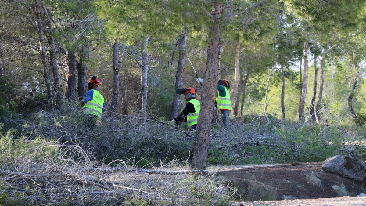 Benidorm licita el proyecto para el desarrollo de actuaciones contra incendios en parque urbano de El Moralet