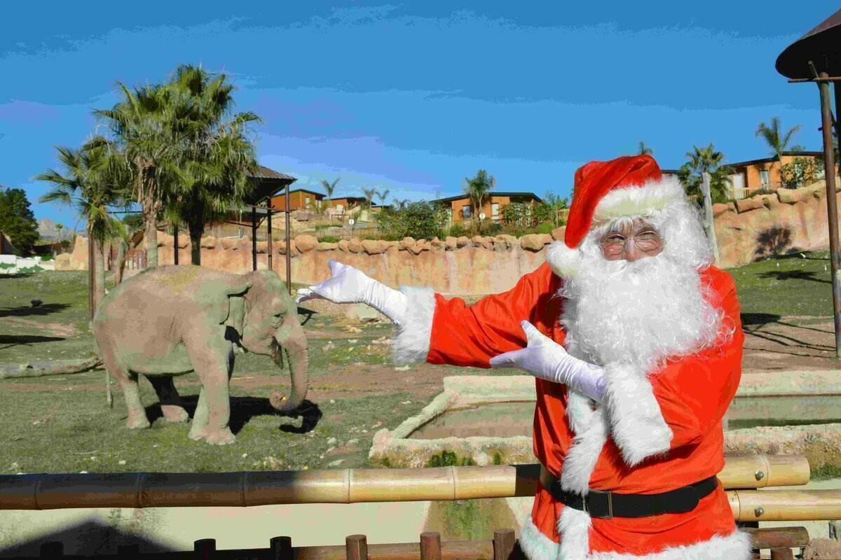 El Hada de hielo y los duendes del reciclaje, protagonistas de las actividades navide&ntilde;as de Terra Natura Benidorm