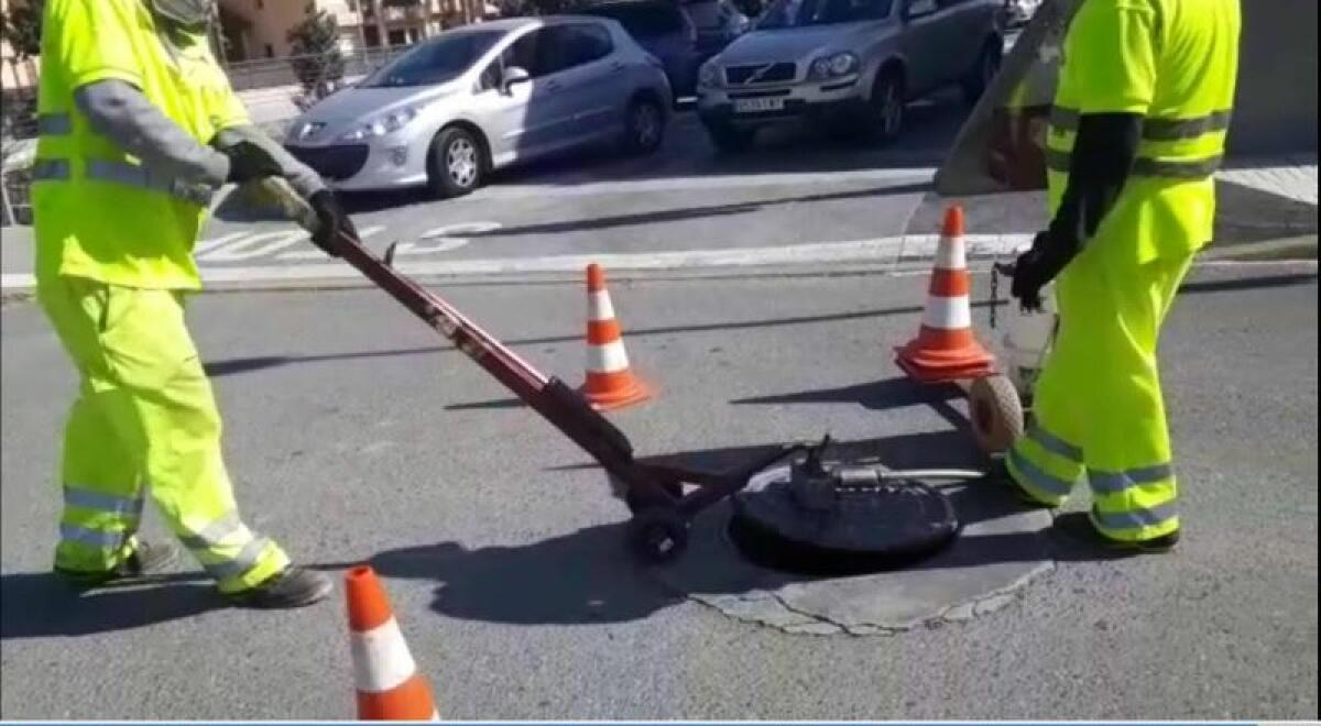 El lunes comienza en el casco urbano de l’Alfàs y la zona de l’Albir la 1ª campaña de desinsectación