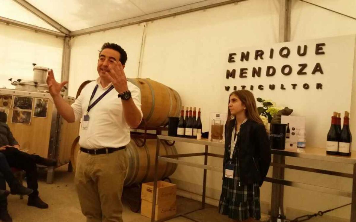 Bodegas Mendoza sit&uacute;a l&rsquo;Alf&agrave;s como destino de enoturismo