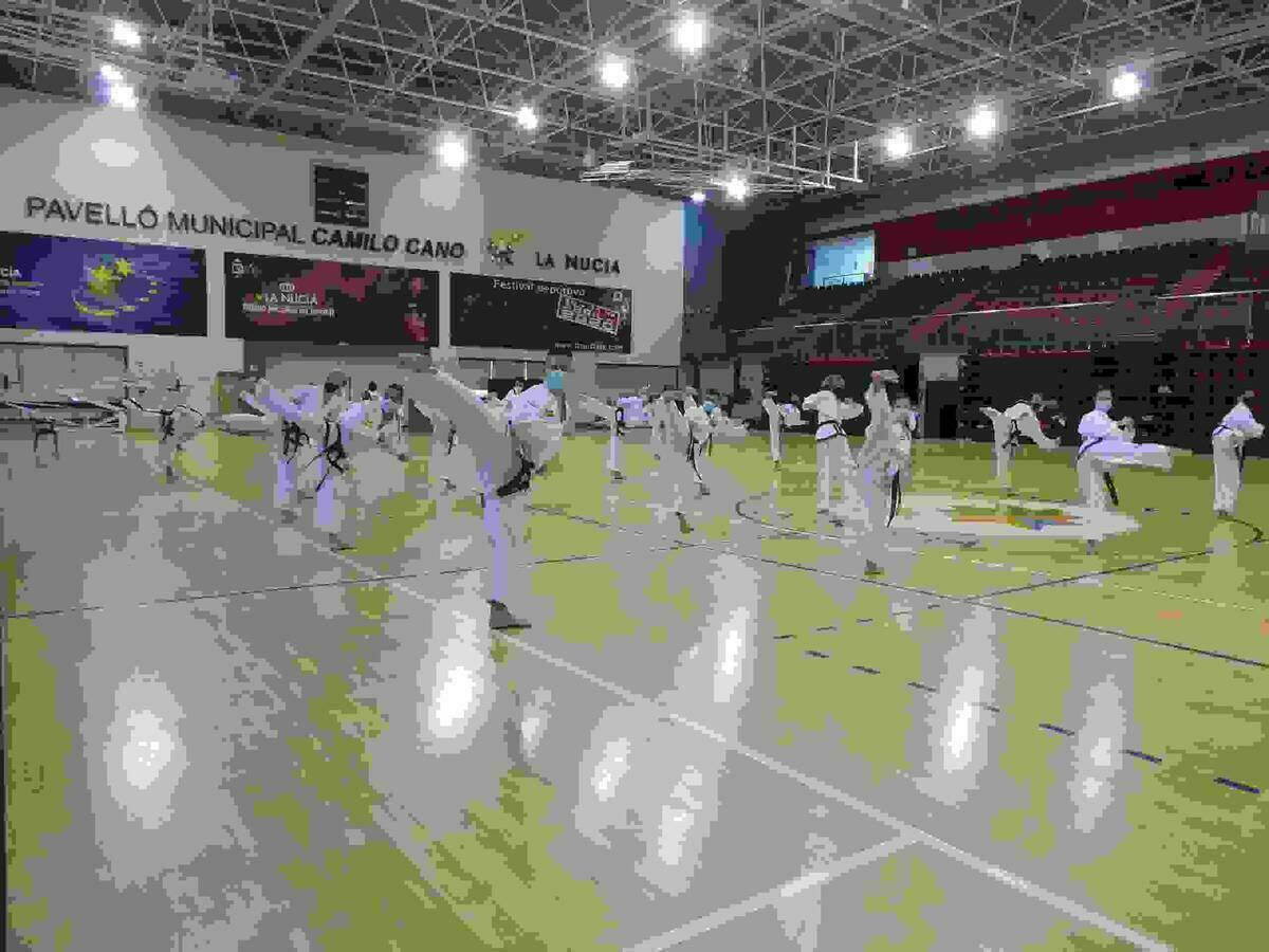 La Nucia acogi&oacute; el Congreso Nacional de Taekwon-Do ITF
