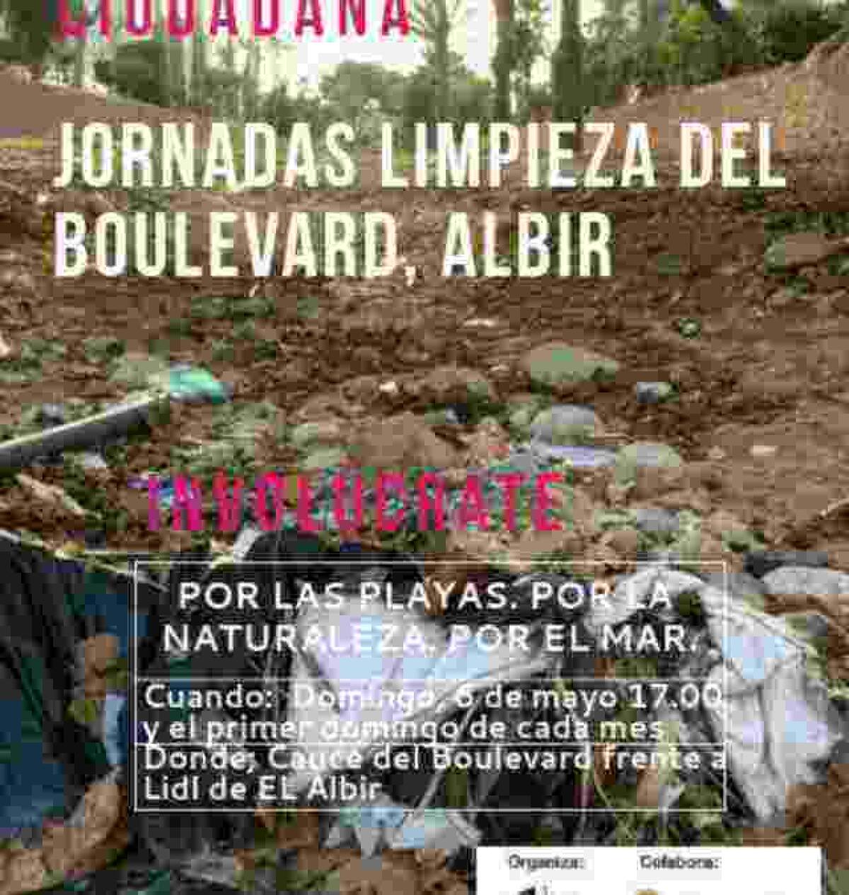 Este domingo se celebran las I Jornadas de Limpieza del Boulevar de l&rsquo;Albir