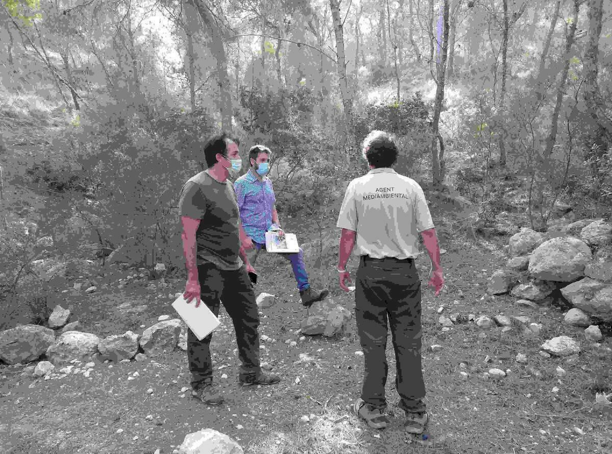 Medio Ambiente de la Vila lleva a cabo la adecuaci&oacute;n de masas forestales en la pinada de la  Cala