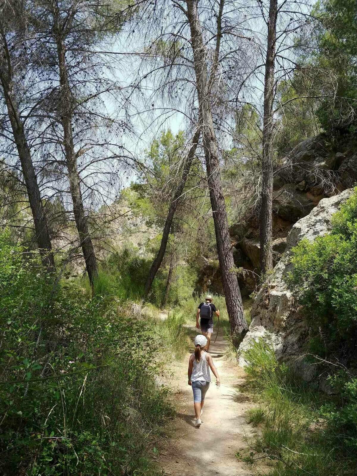 La Diputaci&oacute;n retoma este fin de semana su programa de senderismo con una ruta por Torremanzanas
