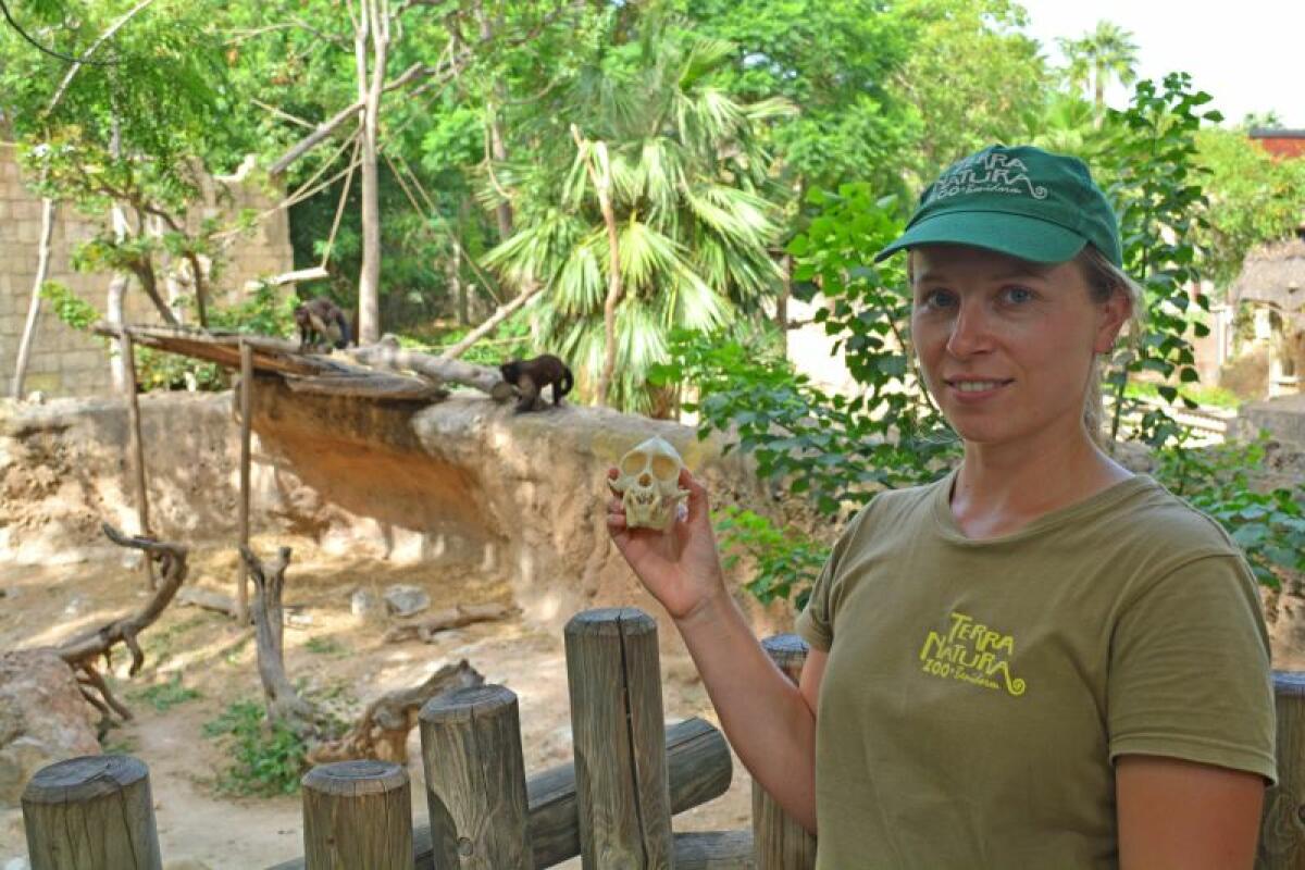 Terra Natura Benidorm conmemora el Día de los Primates con charlas y talleres de concienciación 