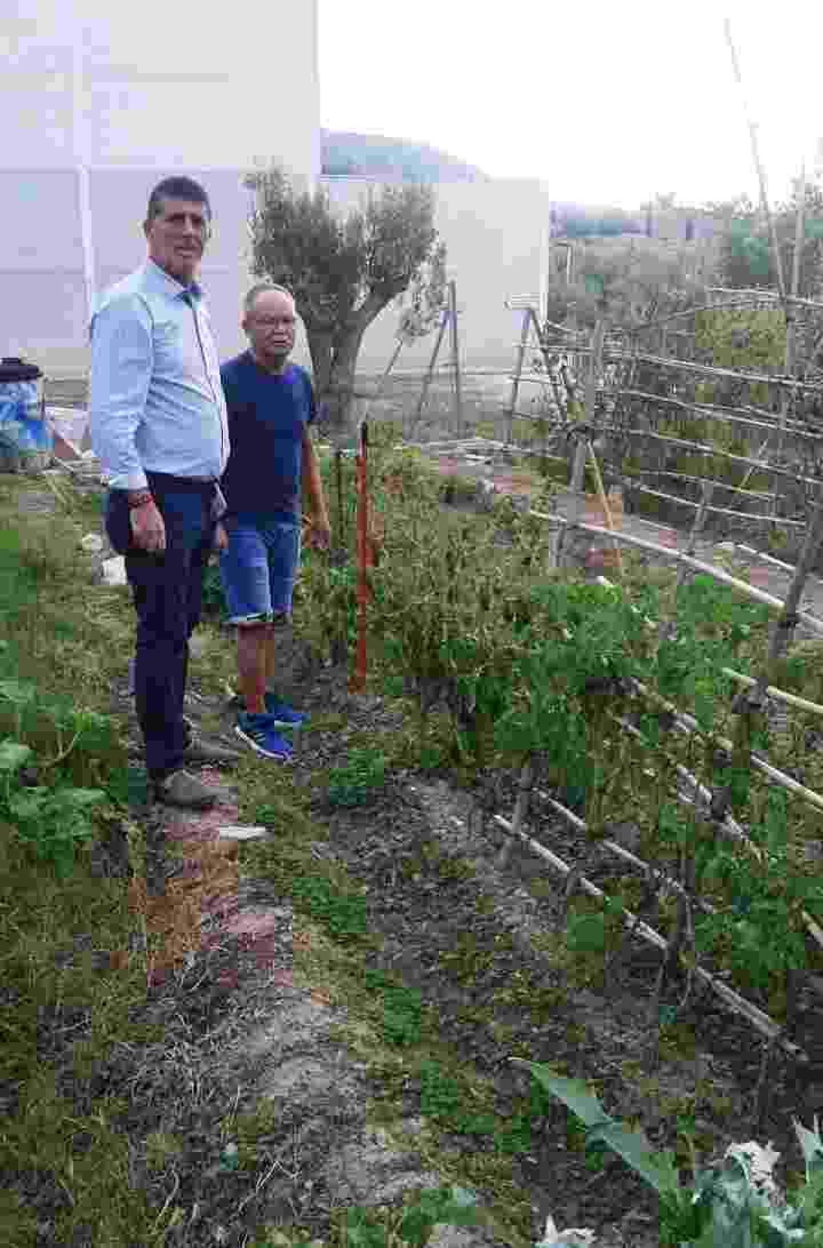 Finestrat celebr&oacute; cursos de formaci&oacute;n sobre agricultura ecol&oacute;gica entre los usuarios del huerto municipal