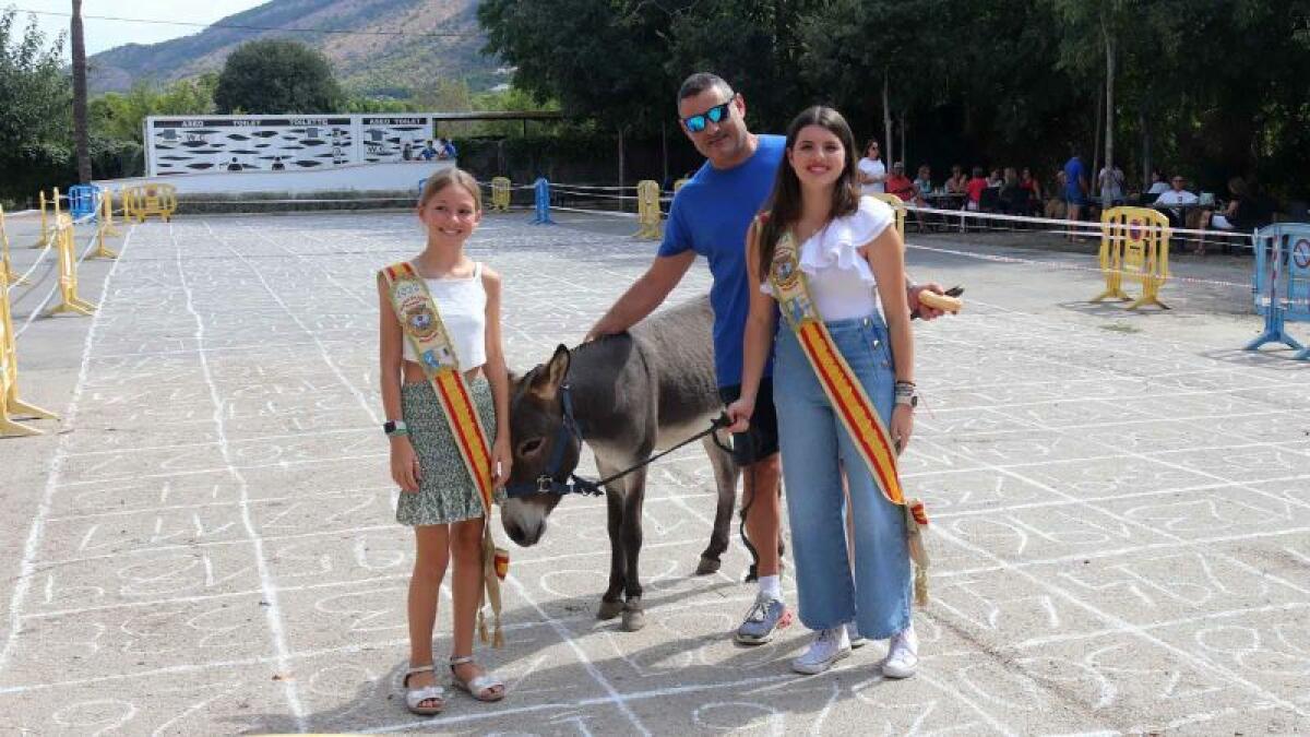 La Festa de Sant Antoni recupera hoy la tradicional ‘Cagà de la burra’ seis años después