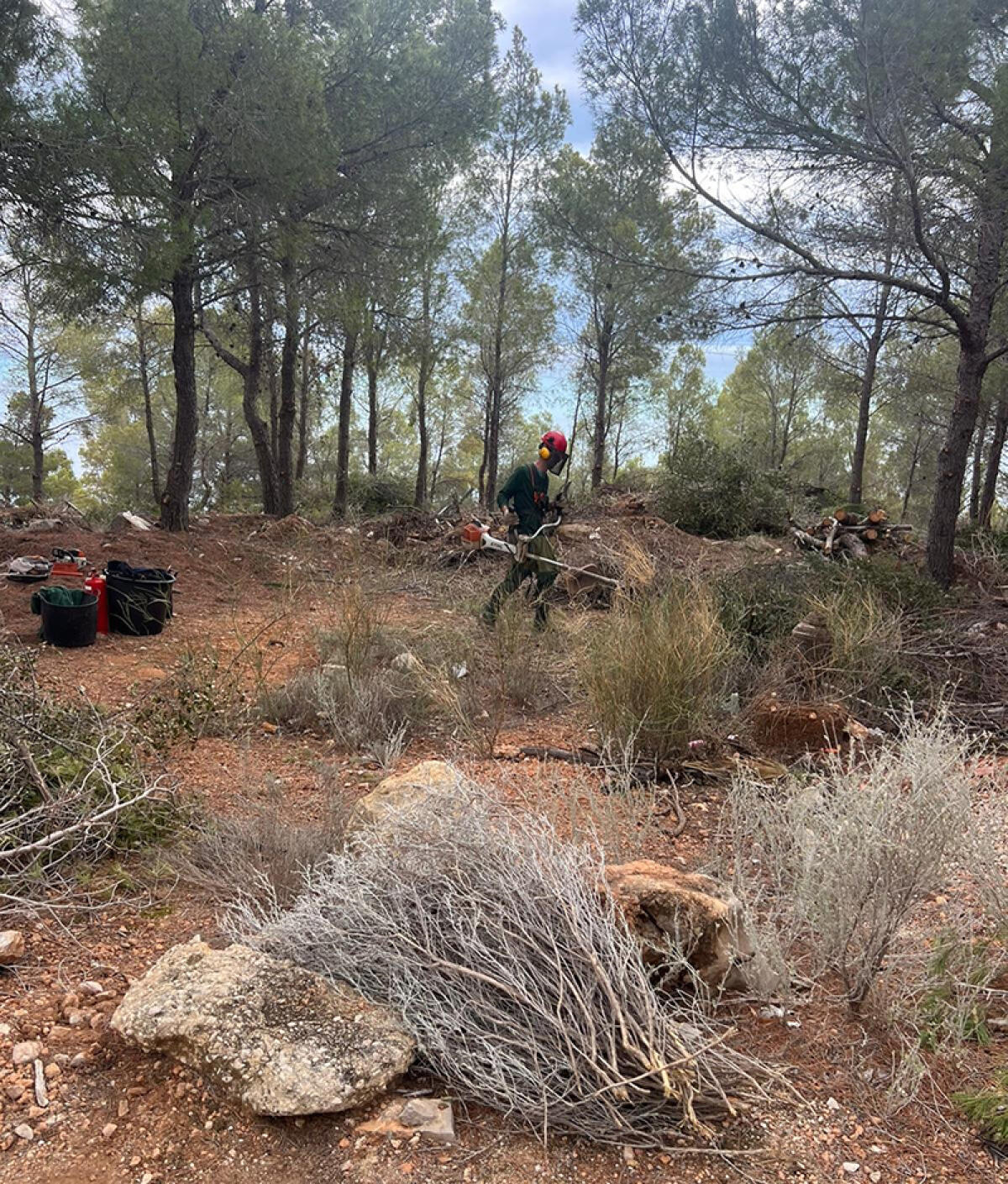 El Ayuntamiento actúa en la zona quemada de Altea Hills en el incendio del pasado enero