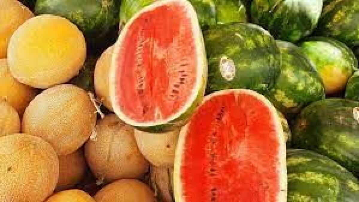 Melón o sandía: ¿Cuál engorda más?