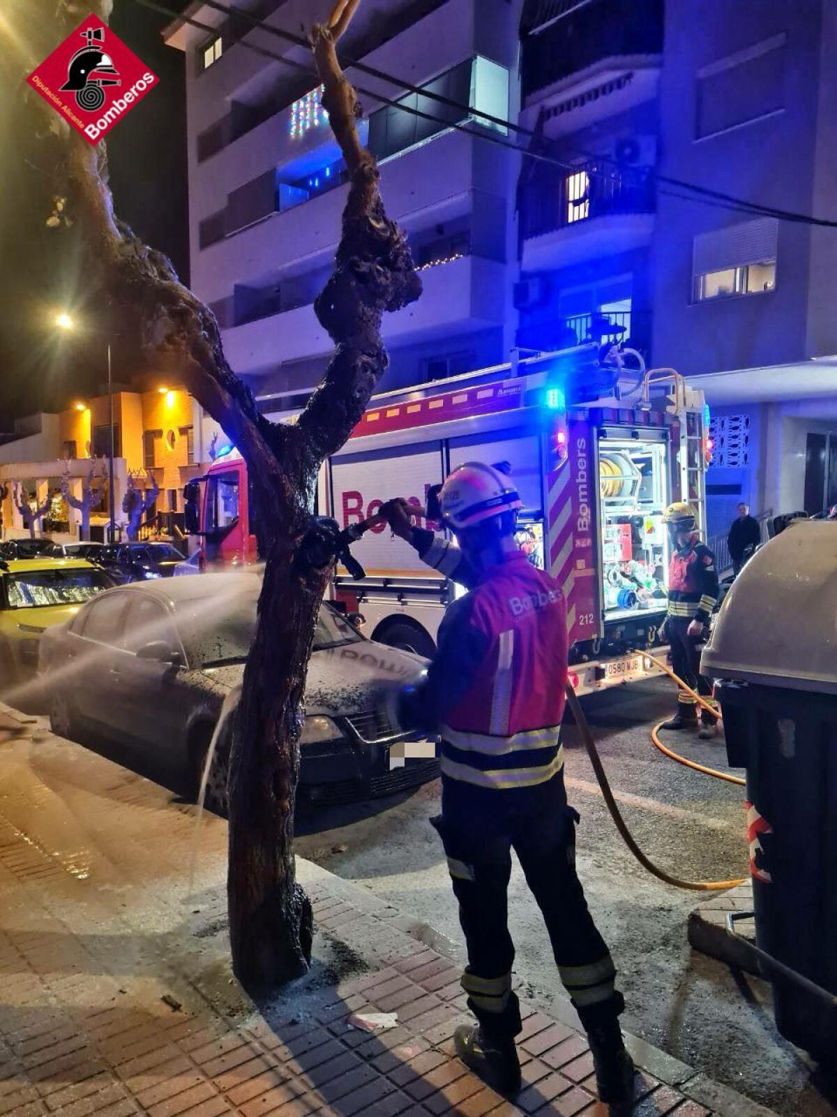 INCENDIO EN UN ARBOL EN BENIDORM