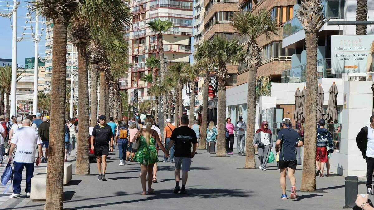 Benidorm vuelve a convocar las ayudas para impulsar nuevos proyectos emprendedores 