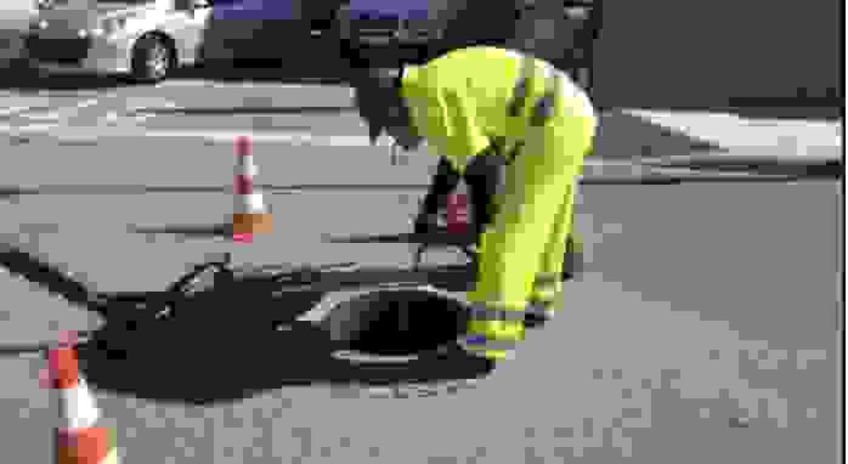 En marcha la 3&ordf; campa&ntilde;a de desinsectaci&oacute;n en l&rsquo;Alf&agrave;s.