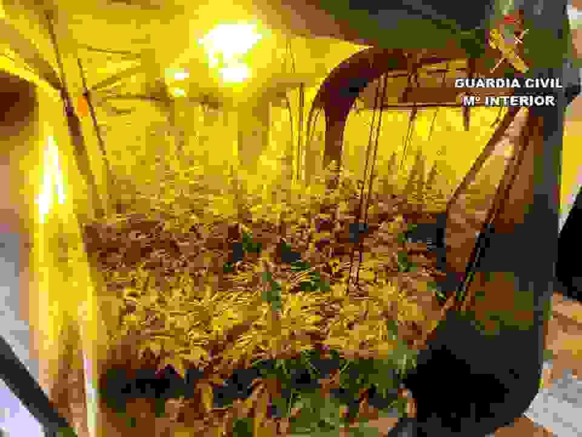 La Guardia Civil desmantela dos puntos de venta de droga en Novelda y en Villena.